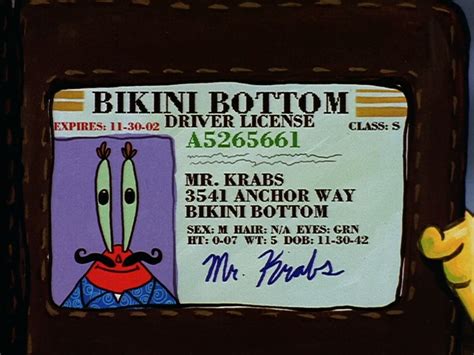 mr krabs license